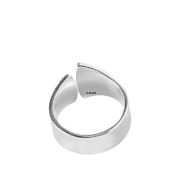 Minimalist Winding Line S925 Sterling Silver Ring